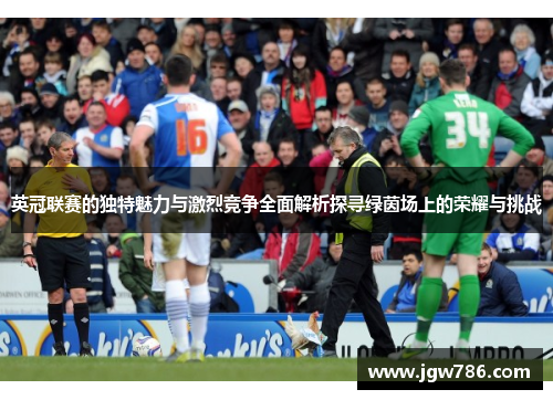 英冠联赛的独特魅力与激烈竞争全面解析探寻绿茵场上的荣耀与挑战